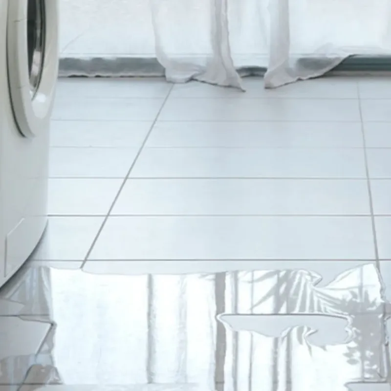 Appliance Leak Cleanup in Bellview, FL