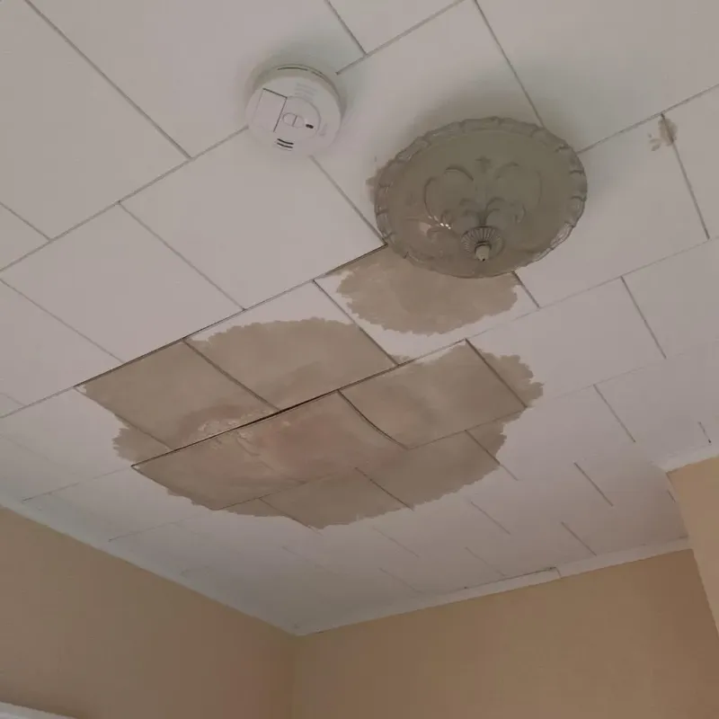 Ceiling Water Damage Repair in Bellview, FL