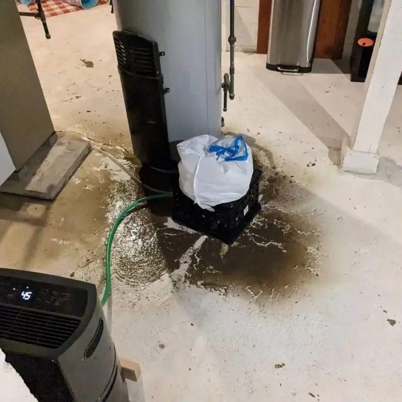 Sewage Backup Cleanup Service in Bellview, FL